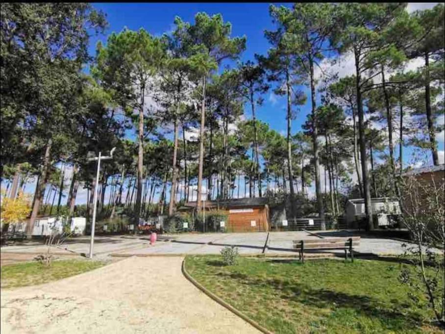 Vacances Sous Les Pins, Pres De La Mer, 6-8 Pers,Bien Equipe, Piscine Saint-Julien-en-Born Εξωτερικό φωτογραφία